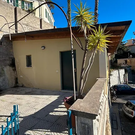 Palm & Flowers - *